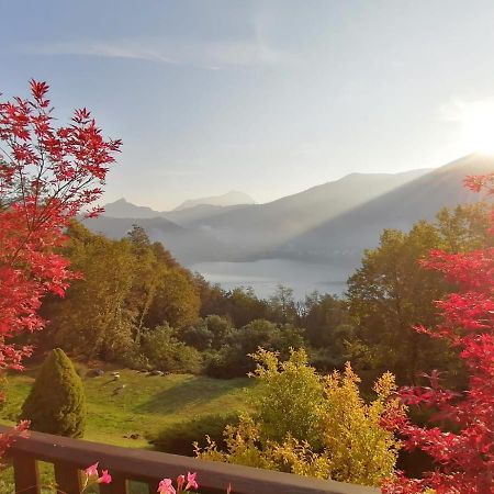 La Finestra Sul Lago Bed & Breakfast Brusimpiano Eksteriør bilde