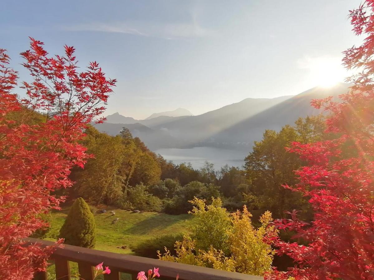 La Finestra Sul Lago Bed & Breakfast Brusimpiano Eksteriør bilde