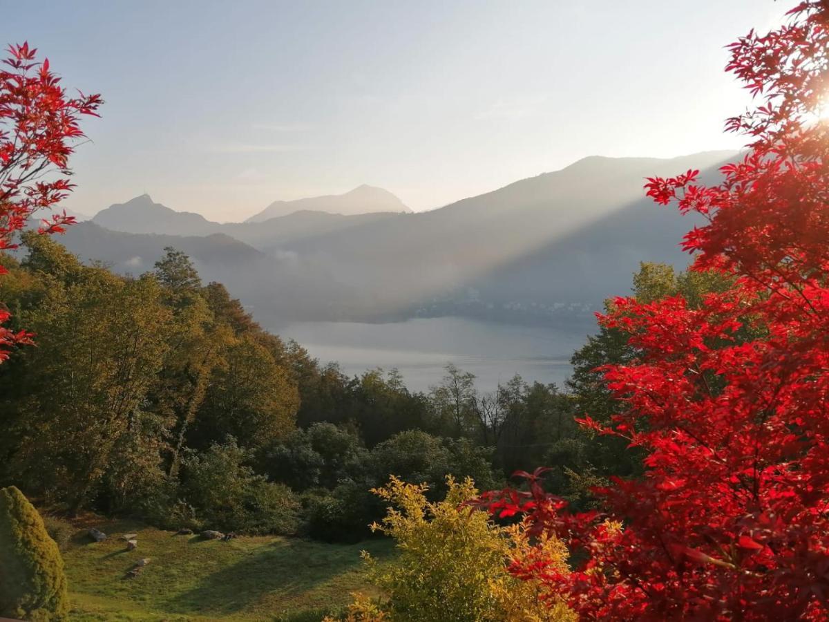 La Finestra Sul Lago Bed & Breakfast Brusimpiano Eksteriør bilde