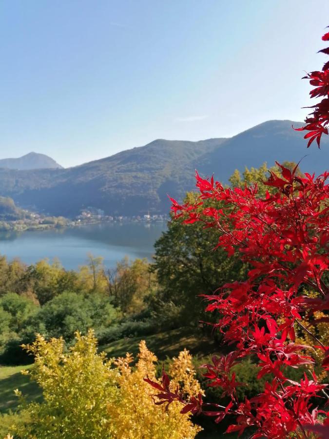 La Finestra Sul Lago Bed & Breakfast Brusimpiano Eksteriør bilde