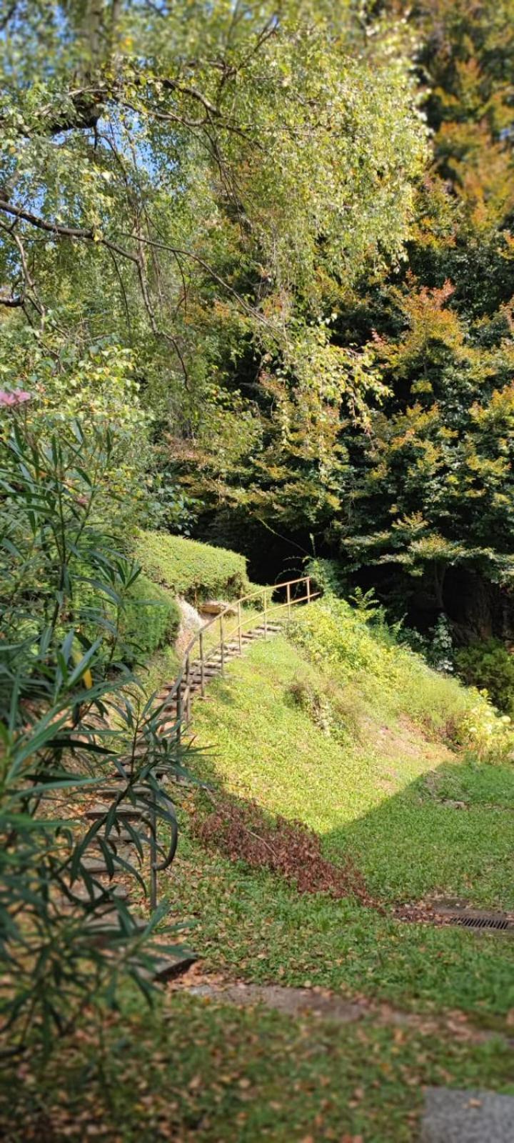 La Finestra Sul Lago Bed & Breakfast Brusimpiano Eksteriør bilde