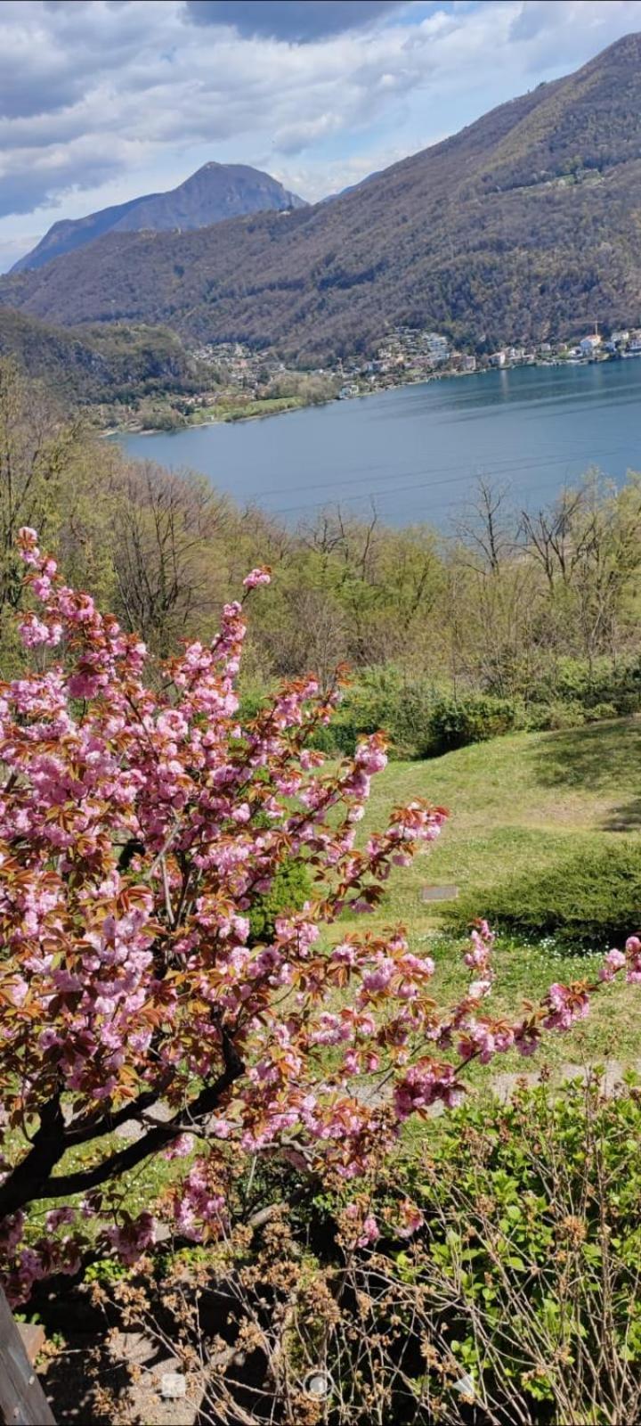 La Finestra Sul Lago Bed & Breakfast Brusimpiano Eksteriør bilde